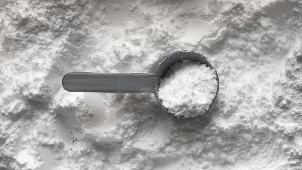 Scoop of protein powder beside a shaker on a kitchen counter